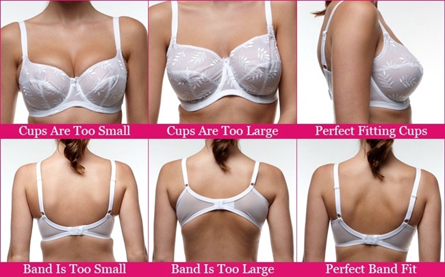 Choosing the Right Bra Band and Cup