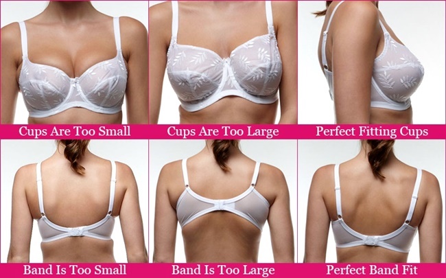 https://www.gorgeautiful.com/wp-content/uploads/2020/10/Choosing-the-Right-Bra-Band-and-Cup.jpg