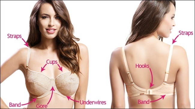 LEARN ABOUT BRA FITTING