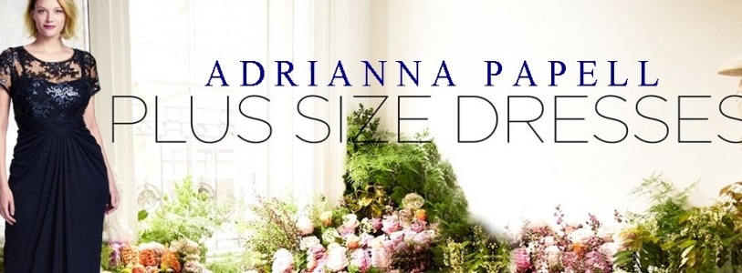 Plus Size Fall Winter Wedding Guest Dresses by Adrianna Papell