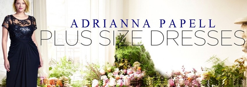 Plus Size Fall Winter Wedding Guest Dresses by Adrianna Papell