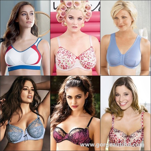 Type of Bra Styles and Designs